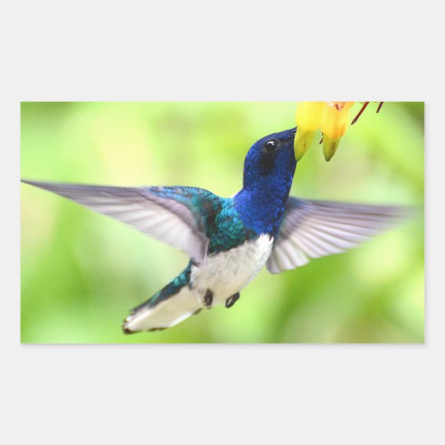 Sticker (Vorderseite)