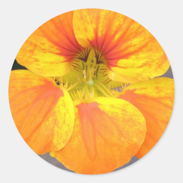 Sticker (Vorderseite)