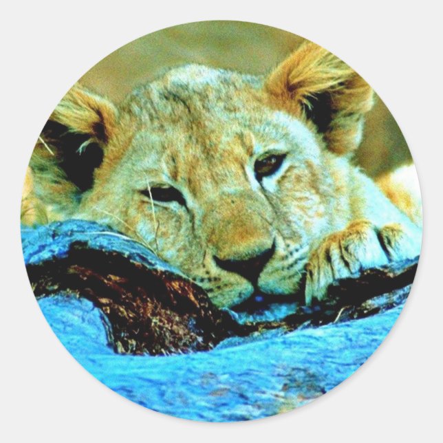 Sticker (Vorderseite)