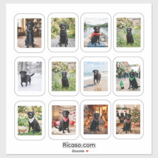Sticker 12 Photos Personnalisés avec Cadre Blanc