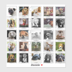 STICKER 25 NOM DE PHOTOS DE CALENDRIER ADVENT CHIEN PERSON