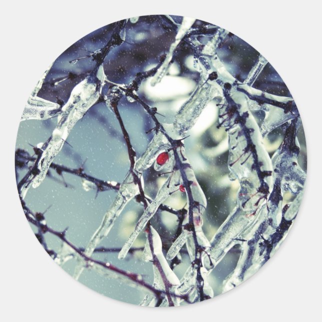 Sticker à baies congelées (Devant)