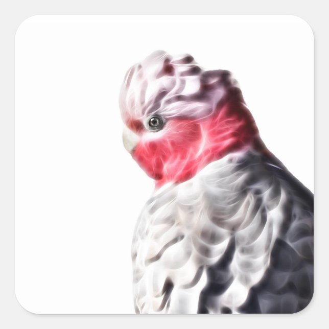 Sticker à Cockatoo Breast Art Rose de perroquets l (Devant)
