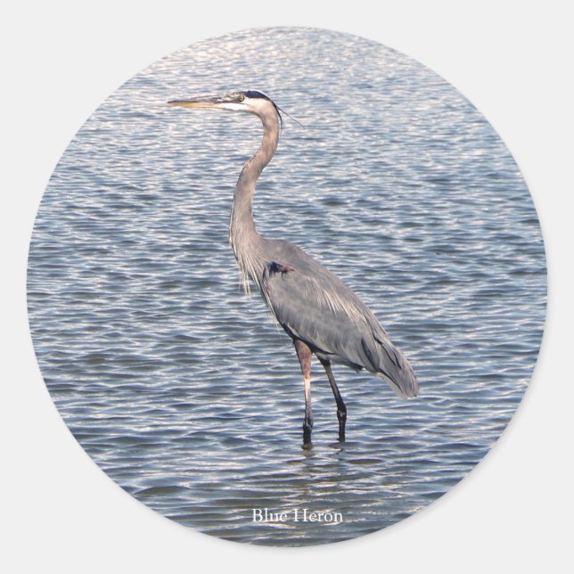 sticker à eau Blue Heron (Devant)