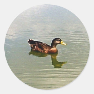 Sticker à enveloppe de canard