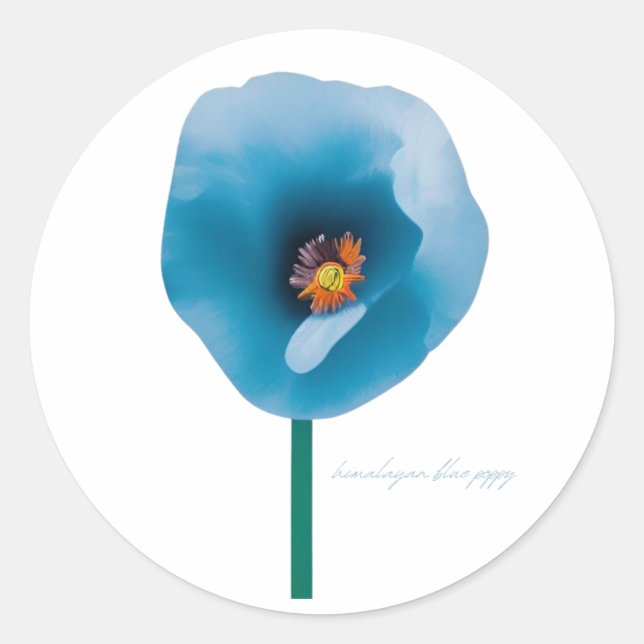Sticker à fleurs de pavot bleu de l'Himalaya (Devant)