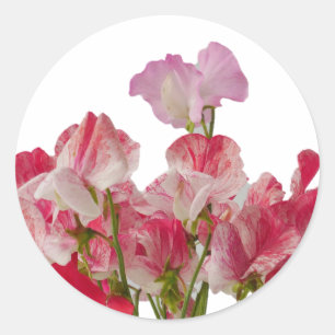 Sticker à fleurs de pois doux