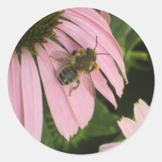 Sticker à fleurs roses