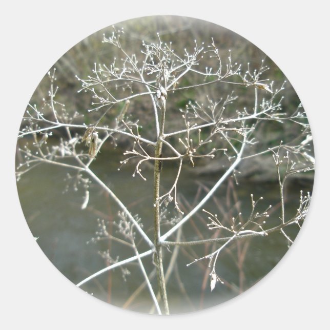 Sticker à mauvaises herbes en dentelle (Devant)