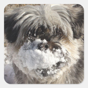 Sticker à nez de chien