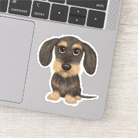 À poils durs Dachshund | Teckel de chien de carica
