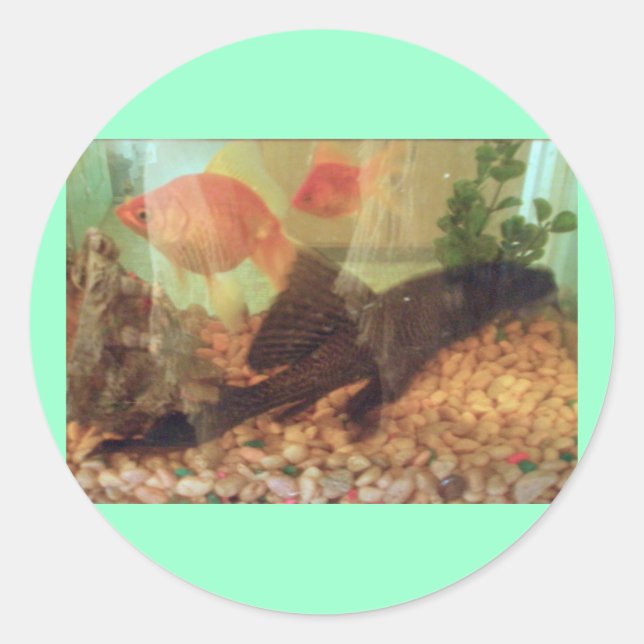 Sticker à réservoir de poisson (Devant)