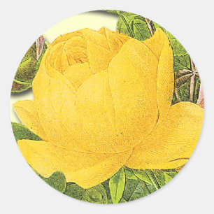 Sticker à rose jaune botanique