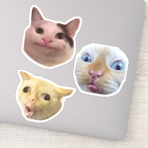 Sticker à visage de chat mème drôle
