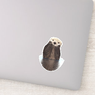 Sticker Adorable Otter souriant dans le lac