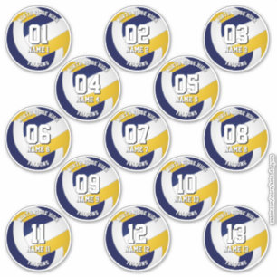 Sticker adosseurs adolescents bleu marine or club de volle