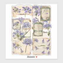 Agapanthus Fussy Cut Ephemera 2