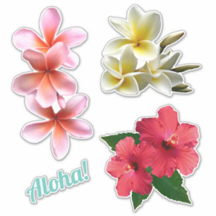 Sticker Aloha Hawaiian Flowers Plumeria Hibiscus