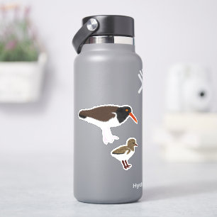Sticker American Oystercatcher avec poussette