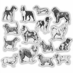 Sticker Amoureux des chiens noir et blanc