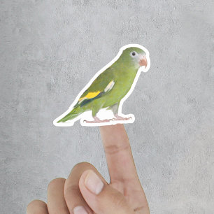 Sticker Amusant animal de compagnie découpé photo personna