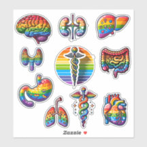 Anatomie arc-en-ciel