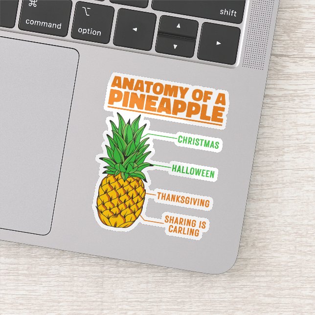 Sticker Anatomie D'Un Ananas Amateurs Vacances Cool De Fam (Détail)
