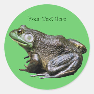 Sticker animal Big Old Bullfrog