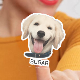 Sticker Animal de chat de chien personnalisé   Photo perso