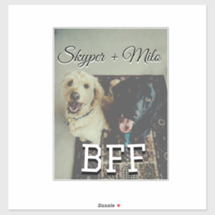 Sticker Animaux de compagnie amis besties ajouter nom anim