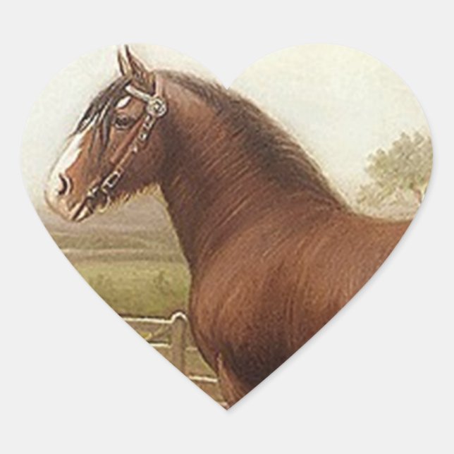 Sticker Antique Bay Clydesdale Entwurf Pferdeparad (Vorderseite)