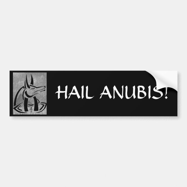 Sticker Anubis Bumper (Devant)