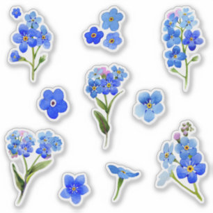 Sticker Aquarelle bleue Oubliez-moi pas Fleurs Vinyl