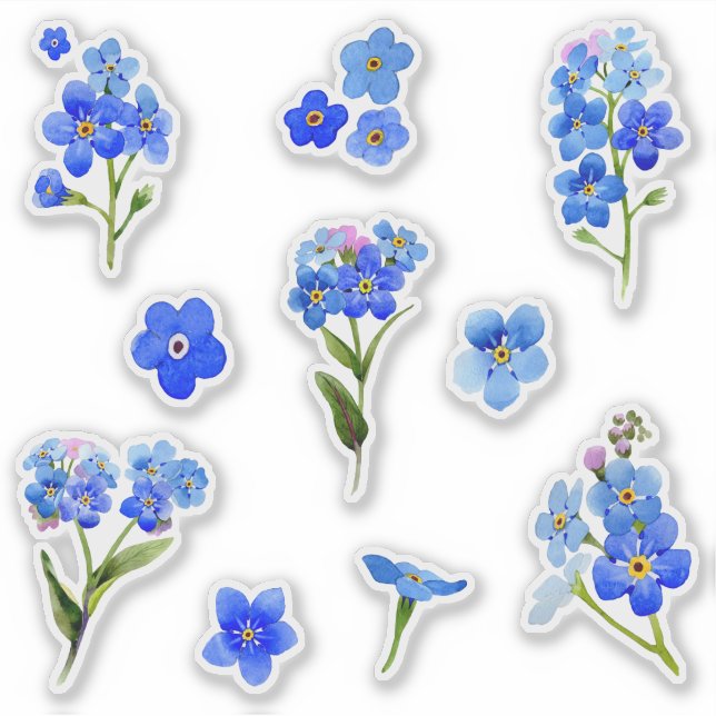 Sticker Aquarelle bleue Oubliez-moi pas Fleurs Vinyl (Devant)