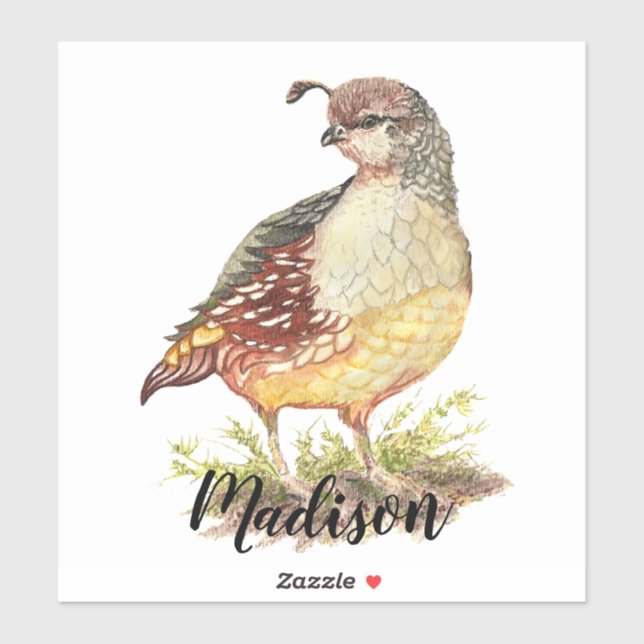 Sticker Aquarelle Californie Quail Bird Nature Art (Feuille)