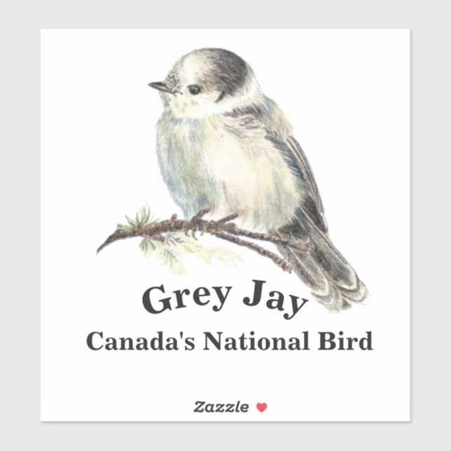 Sticker Aquarelle Gris Jay Faune Oiseau Nature Art (Feuille)