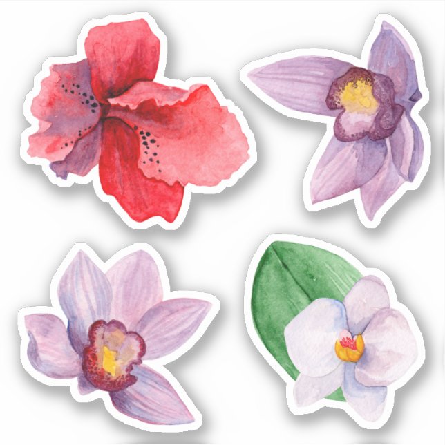 Sticker Aquarelle orchidée. Fleurs tropicales. Floral pour (Devant)