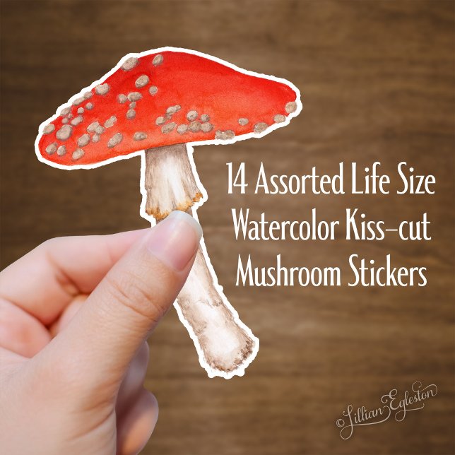 Sticker Aquarelle rouge tachetée Champignons (Créateur téléchargé)