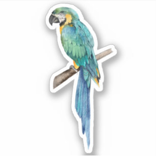 Sticker Ara bleu perroquet oiseau tropical nature