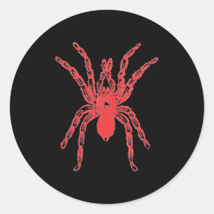 Sticker Araignée Graphique Classic Round