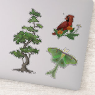 Sticker Arbre, Luna Moth et Cardinal Bird Nature
