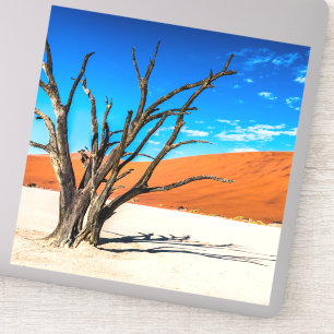 Sticker Arbre mort à Deadvlei, Namibie