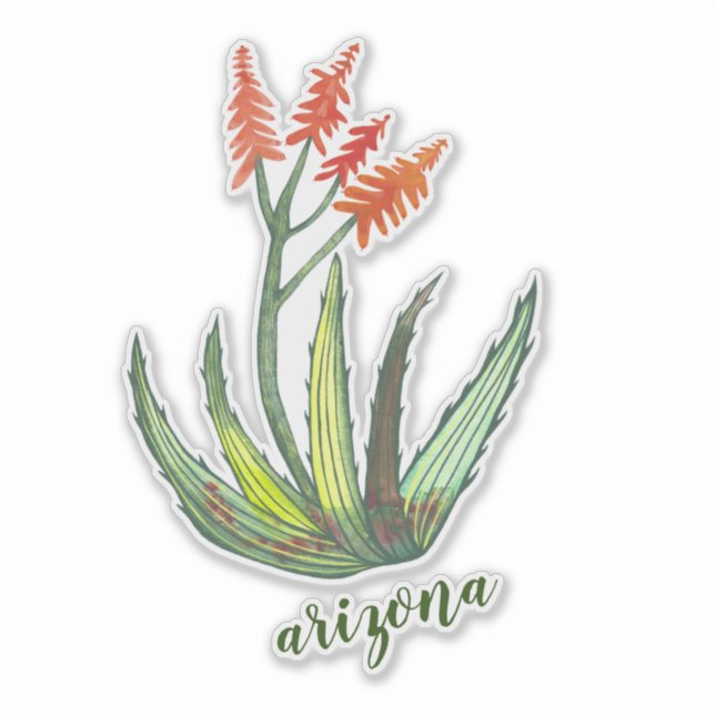 Sticker ARIZONA Aloe Vera Succulent FLowers (Devant)