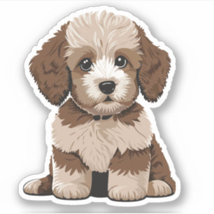 Sticker Aussiedoodle mignon Chien Chien Vinyl