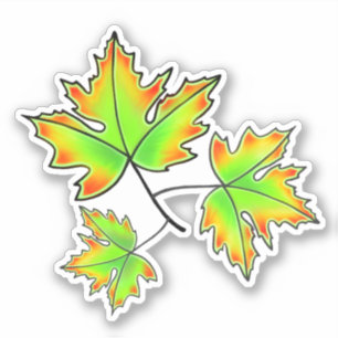 Sticker Automne Feuilles élégant automne botanique