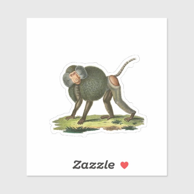 Sticker Baboon (Feuille)