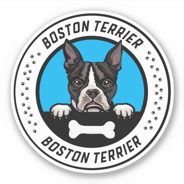 Sticker Badge d'illustration de Boston Terrier Peeking (Devant)