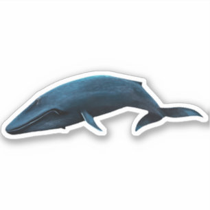 STICKER BALEINE BLEUE
