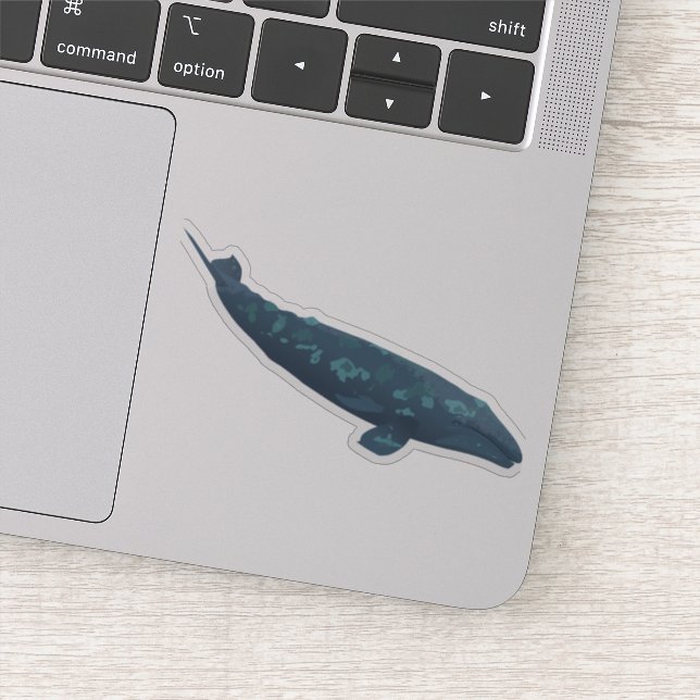 Sticker Baleine grise (Détail)