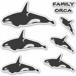 STICKER BALEINE ORCA FAMILLE